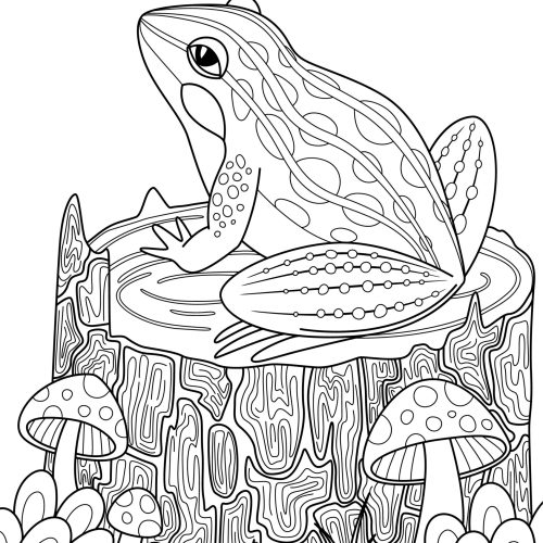 Vector,Doodle,Coloring,Book,Page,Frog,On,The,Stump,In