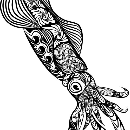 The,Illustration,Of,The,Squid,With,The,Big,Eye,And