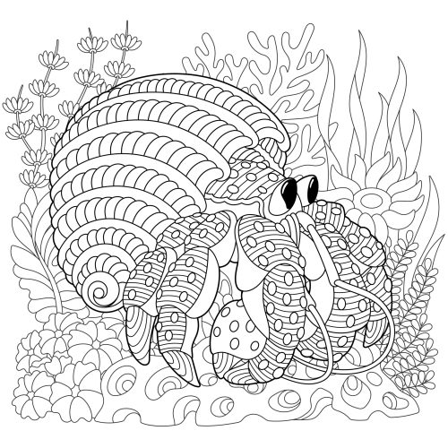 Underwater,Scene,With,A,Hermit,Crab.,Adult,Coloring,Book,Page