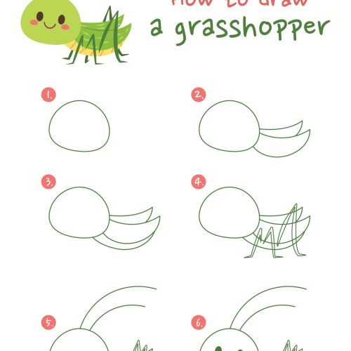 How,To,Draw,A,Grasshopper,Vector,Illustration.,Draw,A,Grasshopper
