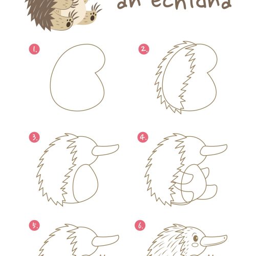 How,To,Draw,Echidna,Vector,Illustration.,Draw,Spiky,Anteater,Step